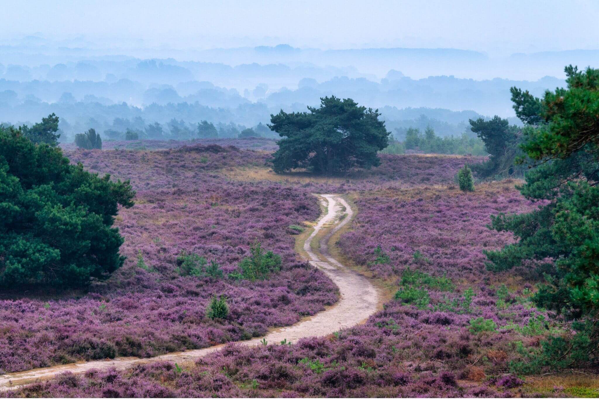 Holterberg - nouveau foyer